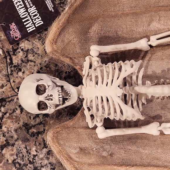 Halloween skeleton as pictured new 16 in skeleton with wings by the Gothic Colle - Picture 3 of 7